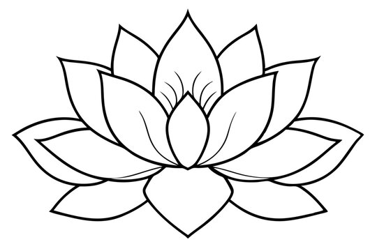 Minimalist Nature Bloom Line Art Vector