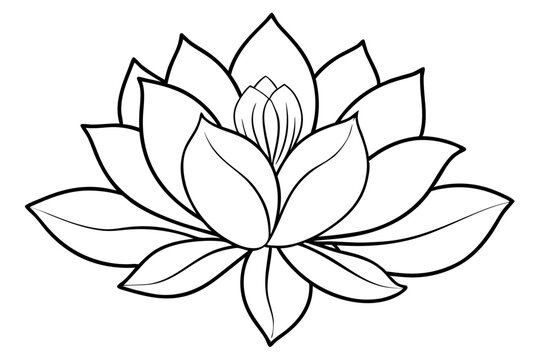 Minimalist Nature Bloom Line Art Vector