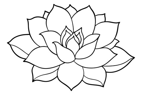 Minimalist Nature Bloom Line Art Vector