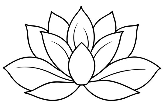 Minimalist Nature Bloom Line Art Vector