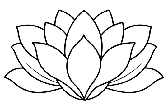 Minimalist Nature Bloom Line Art Vector