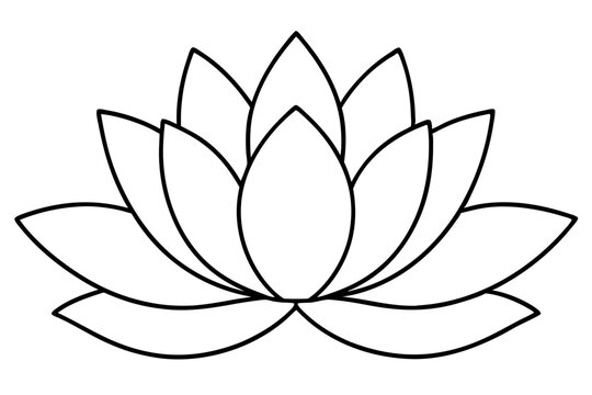 Minimalist Nature Bloom Line Art Vector