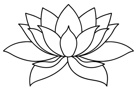 Minimalist Nature Bloom Line Art Vector