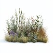 An isolated 3D rendering of wild meadow vegetation on a white backdrop.