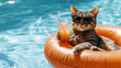 © Thanakrit - A cool cat lounges in a pool float with sunglasses and a drink, embodying summer vibes and relaxation.