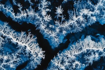 Poster - Abstract aerial view of icy river patterns.