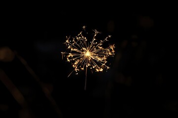 Canvas Print - Sparkler Close Up Dark