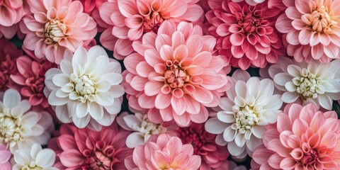 Poster - Pink and White Flower Bouquet