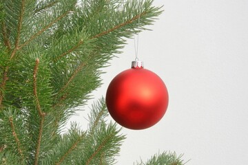 A bright red ornament hangs from a festive Christmas tree