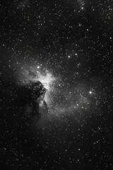 Wall Mural - Star filled black and white sky