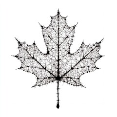 Poster - Black and white image of a maple leaf skeleton.