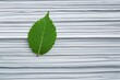 © Arfa_Media - Green leaf resting on stack of policy papers symbolizing climate change concerns