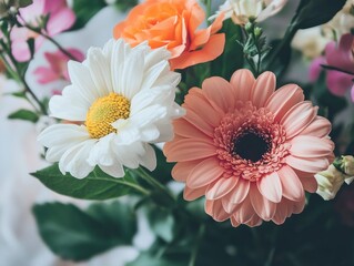 Canvas Print - pink gerber daisy