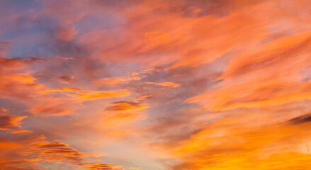 Wall Mural - red sunset sky background