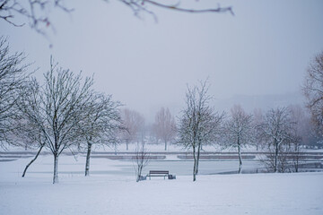 Wall Mural - winter landscape in the park