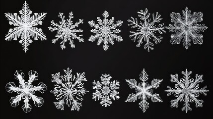 Poster - Twelve Unique Snowflakes Displayed Against A Dark Background