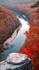 Poster - A breathtaking view of vibrant autumn foliage along a winding river in the heart of nature during fall