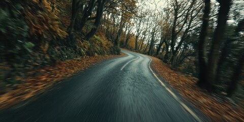 Poster - Autumn Road Winding Through a Forest of Trees