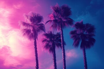 Poster - Three Palm Trees Silhouetted Against a Vibrant Sunset Sky