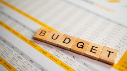 Poster - Financial growth through business budgeting professional infographic and analytical insights