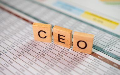 Poster - Business strategies for ceos navigating financial reports in a corporate environment