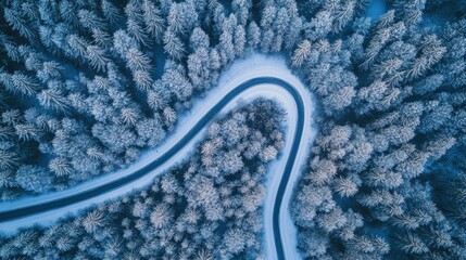 Wall Mural - Winding Road Through Snowy Winter Forest