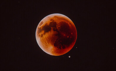 Poster - red moon in the sky. the moon is in the middle of the image. the sky is dark