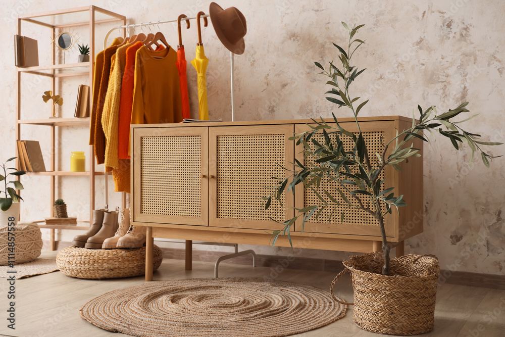 Interior of dressing room with clothes rack, shelf unit and drawers