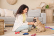 © Pixel-Shot - Cute French bulldog giving paw to beautiful young African-American woman and sitting on carpet in living room