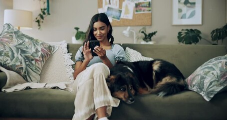 Aufkleber - Phone, relax and happy woman in home with dog for bonding, scroll social media and reading animal blog. Smile, pet and mobile for communication on sofa, text or Indian girl check online notification
