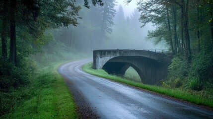 Poster - A foggy, misty road scene with a concrete overpass stretching over a quiet, green landscape, evoking a peaceful and mysterious ambiance.