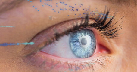 Poster - Image of data processing over close up of woman's eye