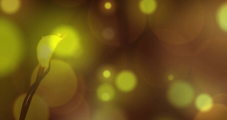 Poster - Image of glowing spots of light on dark background