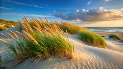 Wall Mural - Coastal sand dune featuring tall grasses swaying in the wind , Beach, nature, landscape, summer, seaside, outdoors, tranquil