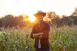 © kamonrat - Confident Farmer in Cornfield at Sunset, Embracing Agricultural Life with a Smile, Standing with Folded Arms, Showcasing Pride in Sustainable Farming and Natural Beauty During Golden Hour