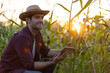 © kamonrat - Male Farmer Using Tablet in Cornfield During Sunset, Showcasing Modern Agriculture Technology and Digital Tools for Efficient Crop Management, Monitoring Growth, and Sustainable Farming Practices