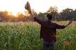 © kamonrat - Farmer Embracing the Sunset in a Cornfield, Enjoying Nature and Serenity, Symbolizing Hope and Gratitude, Standing with Arms Wide Open to the Sky Amid Tall Corn Stalks at Dusk