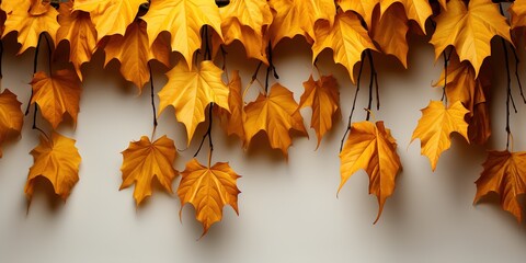 Wall Mural - autumn leaves background