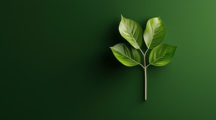 Poster - Environmental icon labeled net zero sustainability, isolated, great for green branding