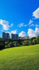 Poster - Vibrant green grass stretches across a sunny summer day, contrasting beautifully with a vivid blue sky dotted with fluffy white clouds and modern buildings in the background