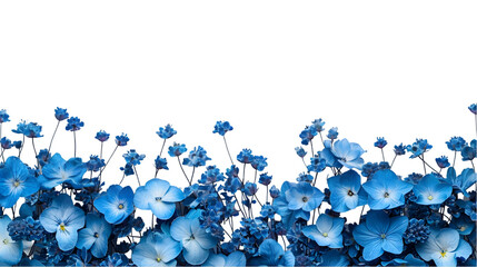 dark blue flowers isolated on a transparent background
