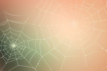 spider web with dew drops