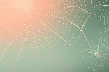 spider and web