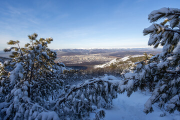 Wall Mural - beautiful view from the mountain to the city of magadan. in the foreground are snow-covered branches