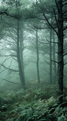  Misty forest with tall trees, creating a mysterious and serene atmosphere.