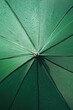© Alexandr - Close-up of green umbrella with water droplets