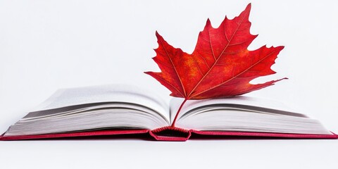 Wall Mural - Open book with red leaf