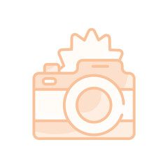 Sticker - Camera Flash vector icon