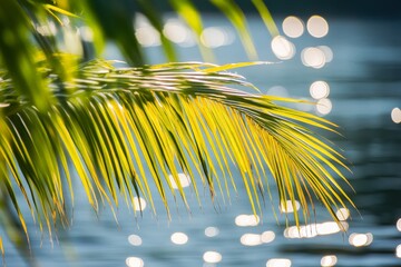 Aufkleber - Yellow-tipped palm leaves are beautifully highlighted by the sunlight, casting shadows and reflections over a peaceful body of water, creating a serene natural scene.