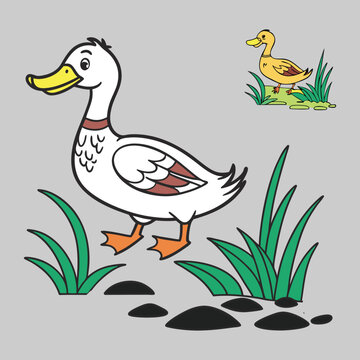 duck vector design art and illustration

